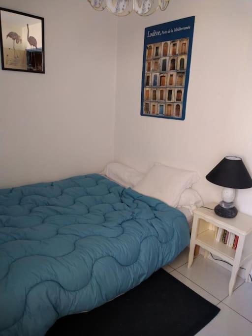 Appartement Vue Sur Canal Proximite Mer Сет Екстериор снимка